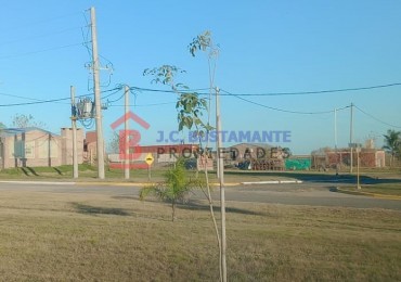 Venta Terreno Casa Sauce Pinto