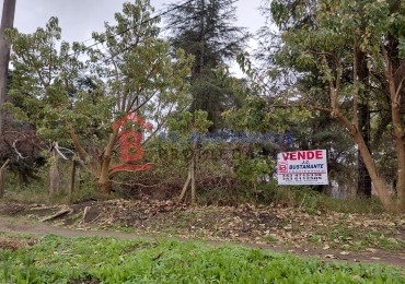 Venta Terrenos calle Miguel David No 851